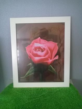 Cadre photo blanc avec rose