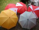 Divers Parapluies et Parapluies Canne à 2 €- Neufs