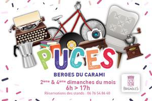 puces de Brignoles du Carami