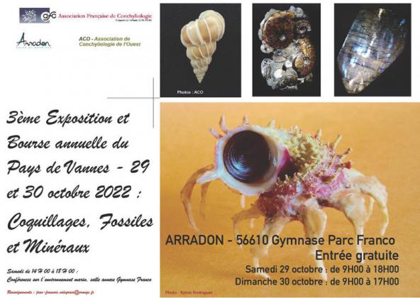 3eme Bourse-Exposition du Pays de Vannes : Coquillages, Minéraux et Fossiles