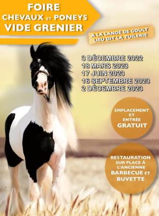 Foire aux chevaux Et vide grenier - La Lande-de-Goult