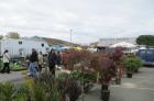 Foire aux plantes et vide jardin - Labarthe-sur-Lèze