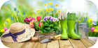 Foire aux végétaux, matériel de jardinage - Arques-la-Bataille