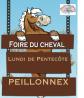 Vide-sellerie - foire du cheval - Peillonnex