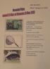 Brocante, Vide grenier - Savigny-sur-Clairis
