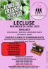 Brocante, Vide grenier - Lécluse