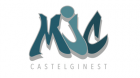 Vide-greniers - Castelginest