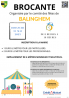 Brocante, Vide grenier - Balinghem