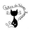 Vide-greniers - Garde-Colombe
