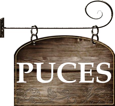 Puces - Sens