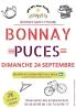 Puces - Bonnay