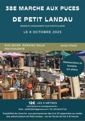 Marché aux puces - Petit-Landau