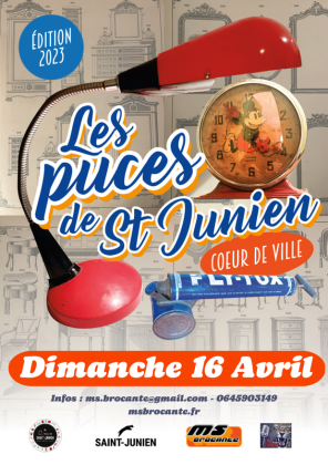 Puces - Saint-Junien