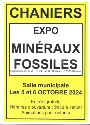 EXPOSITION VENTE MINERAUX ET FOSSILES