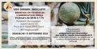 BROCANTE - VIDE grenier  dimanche 15 septembre 2024