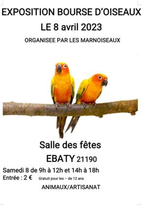 BOURSE D'OISEAUX DE CAGES ET DE VOLIERES - Ébaty