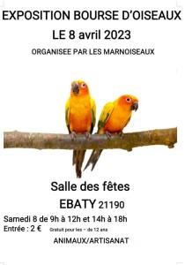 BOURSE D'OISEAUX DE CAGES ET DE VOLIERES - Ébaty