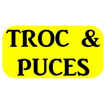 Troc et Puces - Bignan