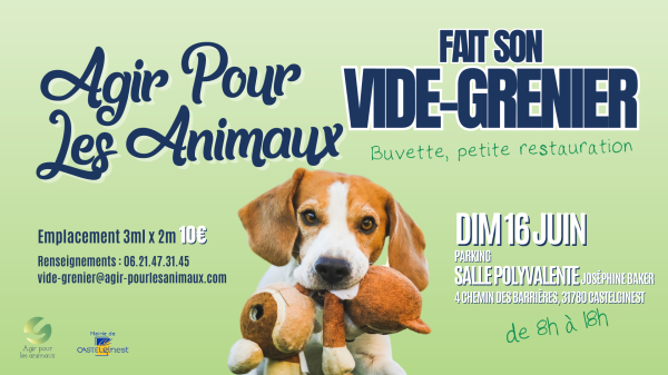 Vide-greniers - Castelginest