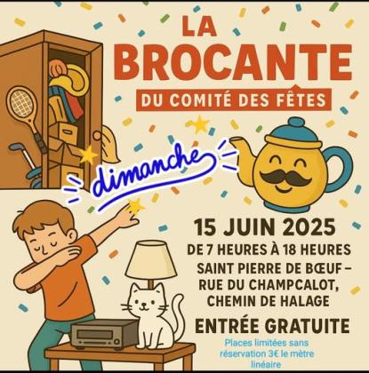 Brocante, Vide-greniers - Saint-Pierre-de-Bœuf