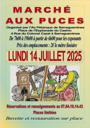 Brocante, Vide-greniers - Sarreguemines