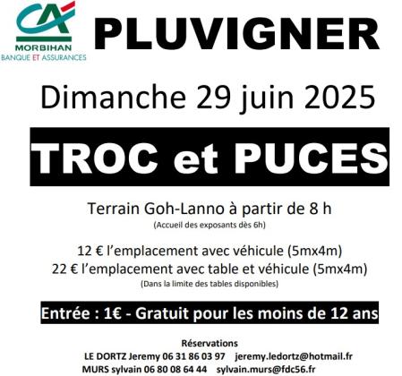 Troc et Puces - Pluvigner