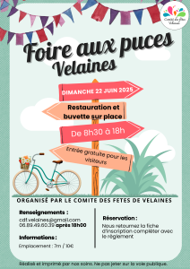 Foire aux puces - Velaines