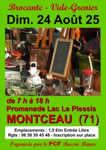 Brocante, Vide-greniers