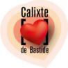 Brocante, Vide-greniers