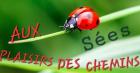 Vide-greniers - Sées