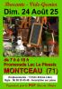 Brocante, Vide-greniers