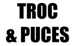 Troc et Puces - Combrit