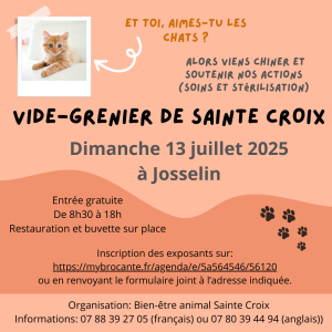 vide-greniers - Josselin