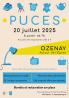 Marché aux puces - Ozenay