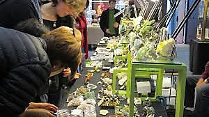 Salon des Minéraux, Fossiles, Bijoux de Salouel