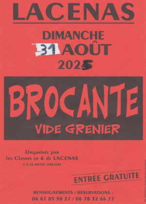 Brocante, Vide-greniers