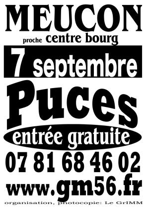 Foire aux puces - Meucon