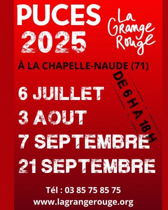 Puces - La Chapelle-Naude