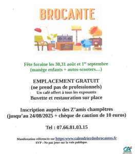 Vide-greniers - Maisoncelle-Tuilerie