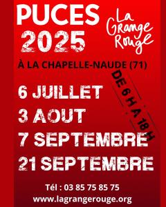 Puces - La Chapelle-Naude