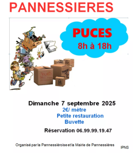 PUCES AU VILLAGE - Pannessières