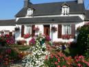 Le grand Hortensia centre Finistère