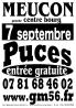 Foire aux puces - Meucon