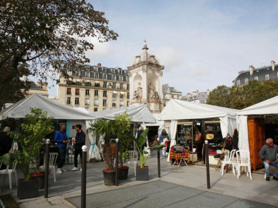 Salon des antiquaires - Paris 06