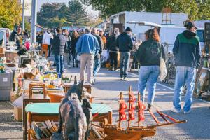 Déballage international - Villeurbanne