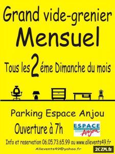 Le grand déballage d'Angers