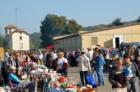 Brocante, Vide-greniers - Andelnans