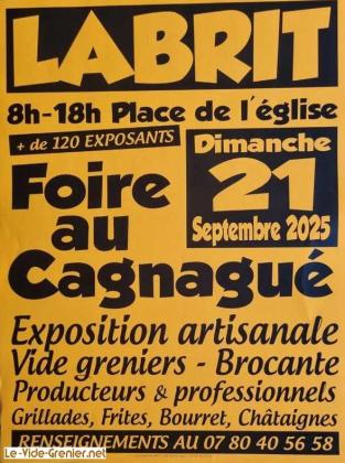 Brocante, Vide-greniers - Labrit