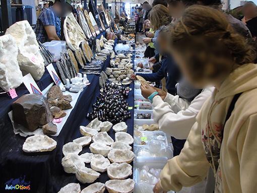 6e salon des minéraux, fossiles, cristaux, bien-être, bijoux de créateurs et gemmes - Chambéry