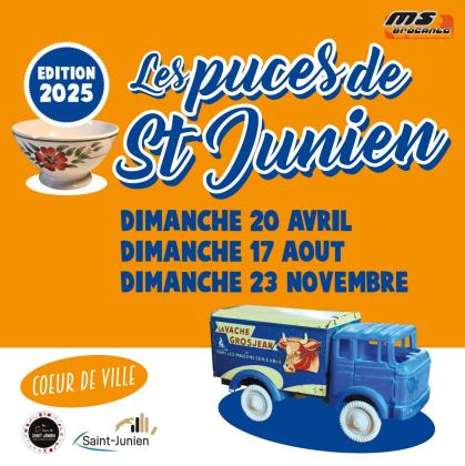 Puces - Saint-Junien